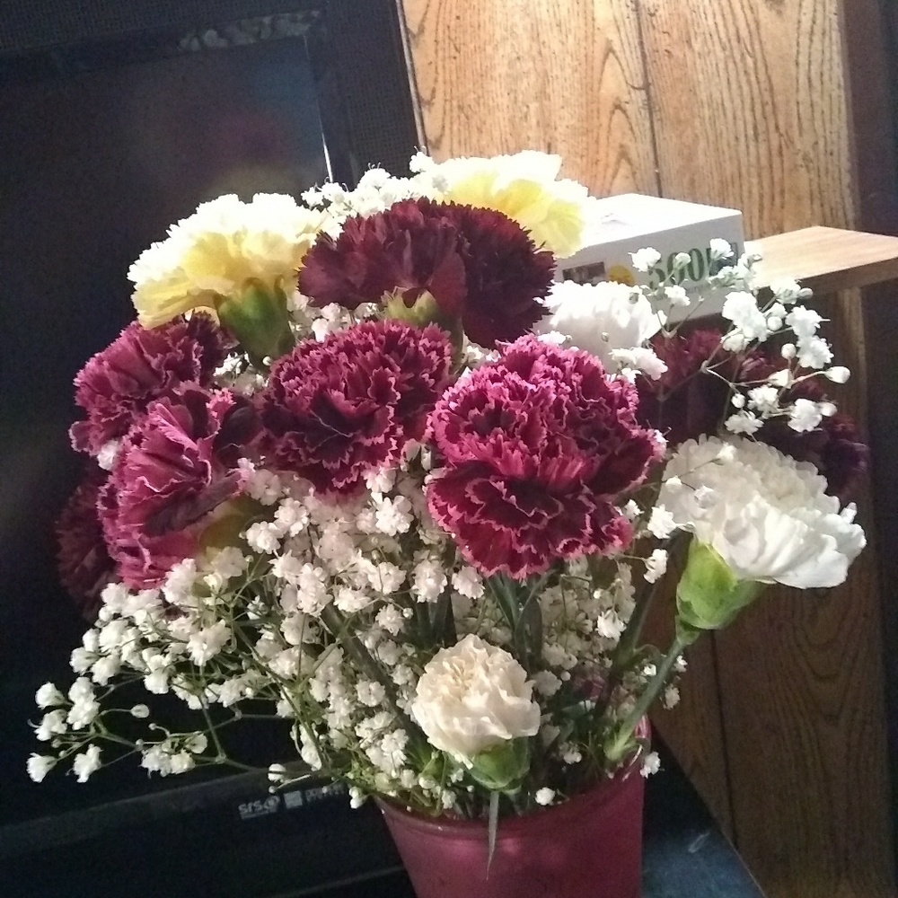 Meet your Posher, Darlene